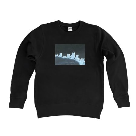 Nekoseijin ex Machina|ねこ星人 エクス・マキナ トレーナー Nekoseijin ex Machina|ねこ星人 エクス・マキナ トレーナー